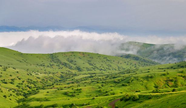 احیا و غنی‌سازی 22 هکتار از جنگل‌های فندقلو